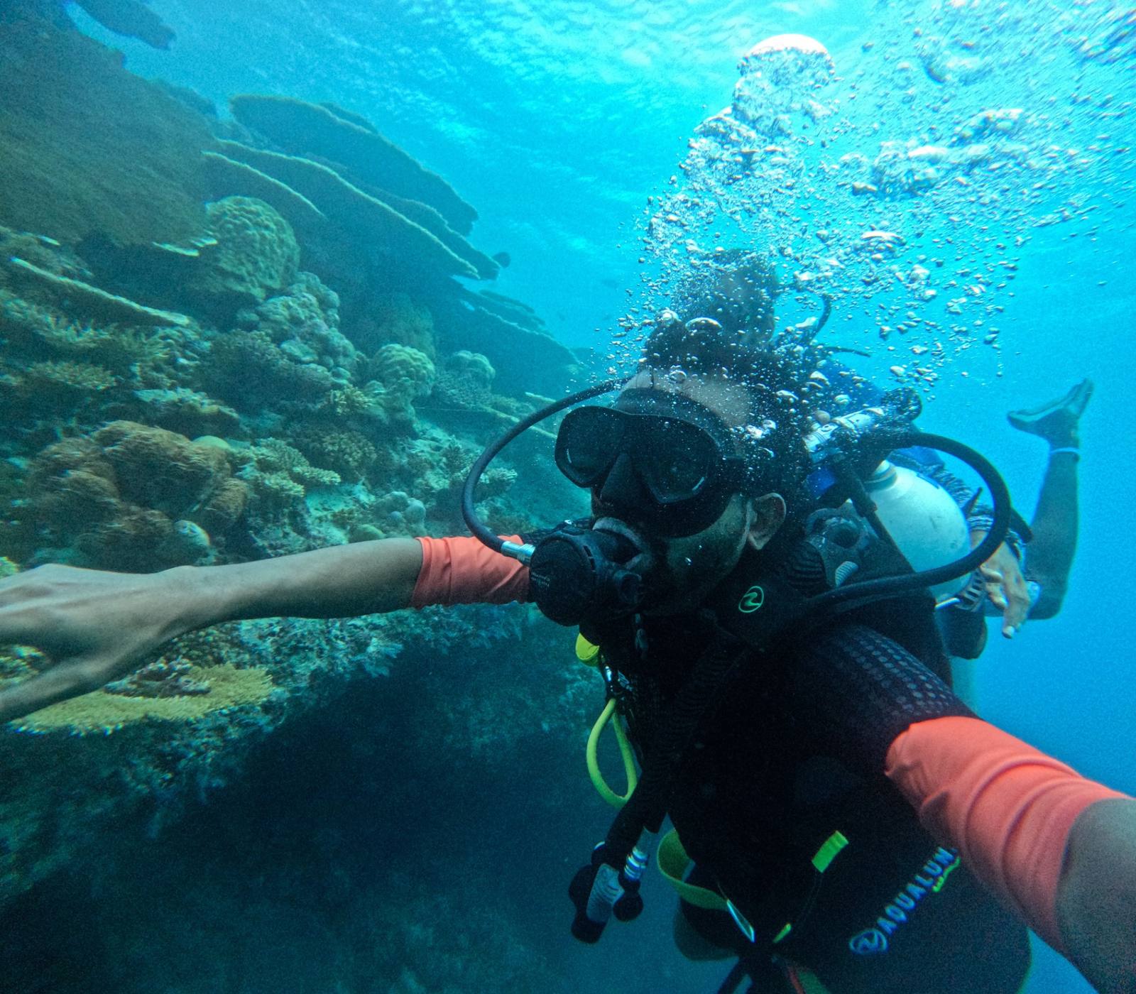 Diving Tour