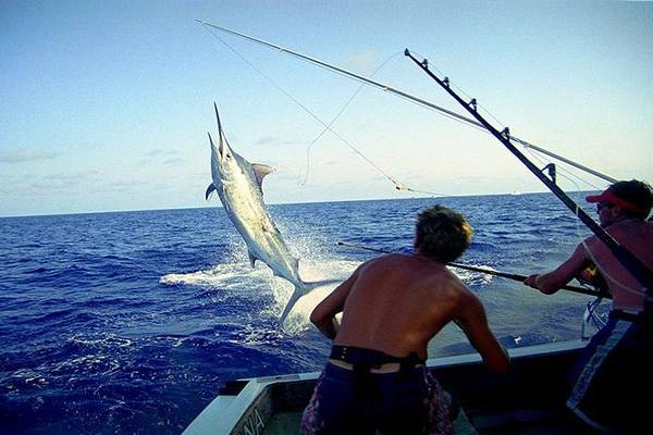 Fishing Game Tour